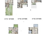 磐安天笑桃李春风_4室2厅4卫 建面172平米